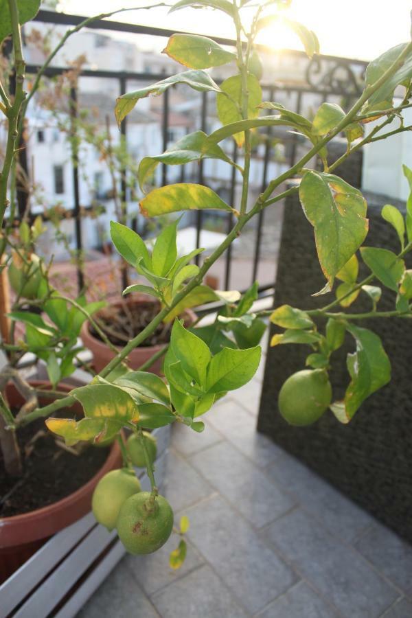 Dimore De La Rosa Palermo Exterior foto